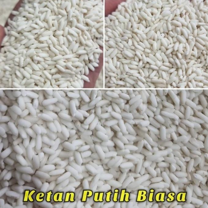 

Terlaris Ketan Putih 5 Kg Beras Ketan Original - Bambu Wangi