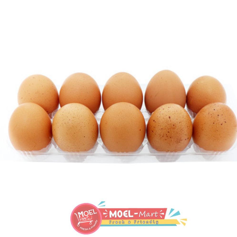 

TELUR AYAM MERAH 10 BUTIR