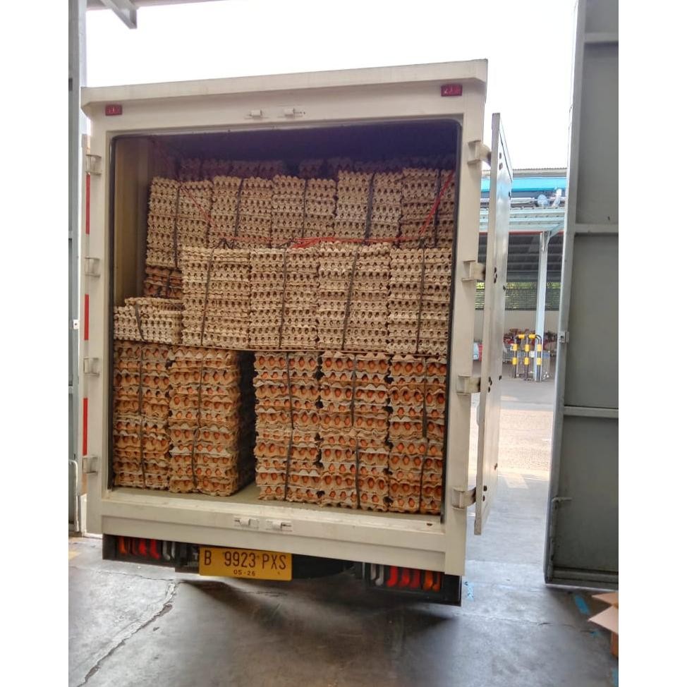 

TELUR AYAM NEGERI JUMBO CURAH PER KG