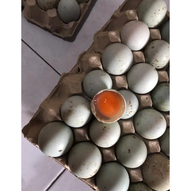 

TELUR BEBEK OMEGA3 MENTAH FRESH/ TELUR BEBEK MURAH