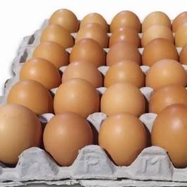 

( PER 500 GR ) TELUR AYAM ,TELUR AYAM PER 500 GRAM