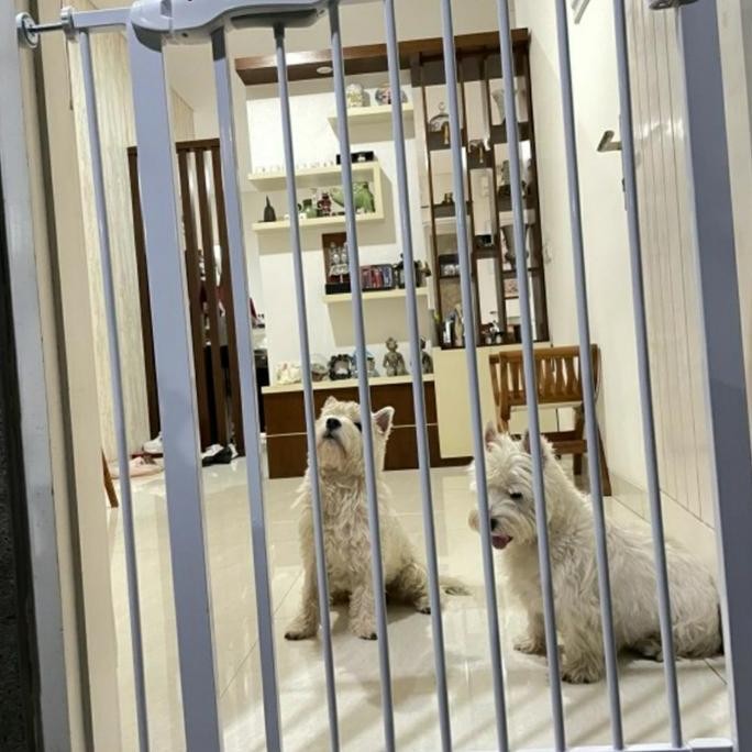 BEBAS ONGKIR - PAGAR PEMBATAS TINGGI 100cm / PAGAR ANJING / KANDANG PAGAR ANJING