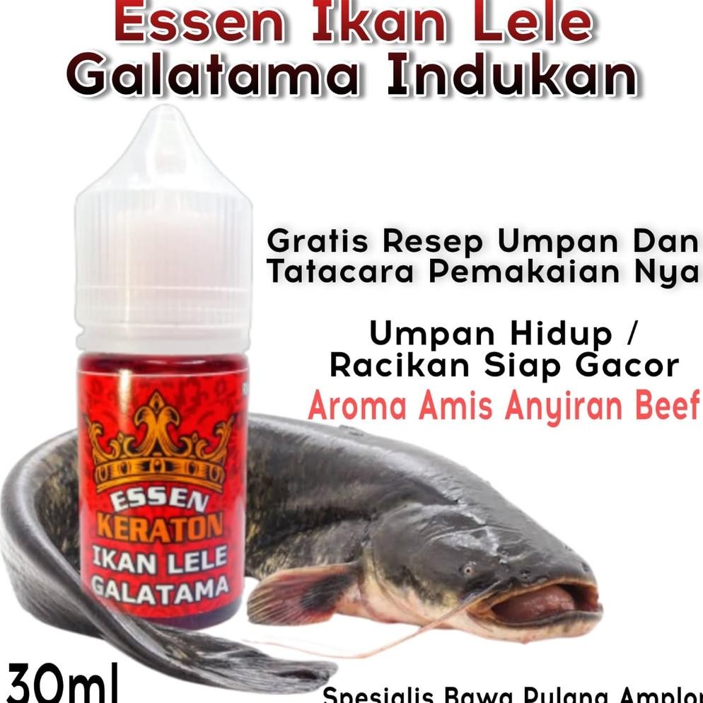 Essen Super Premium Keraton Khusus Galatama Ikan Lele, Essen Galatama Lele Paling Gacor 2023, Essen 