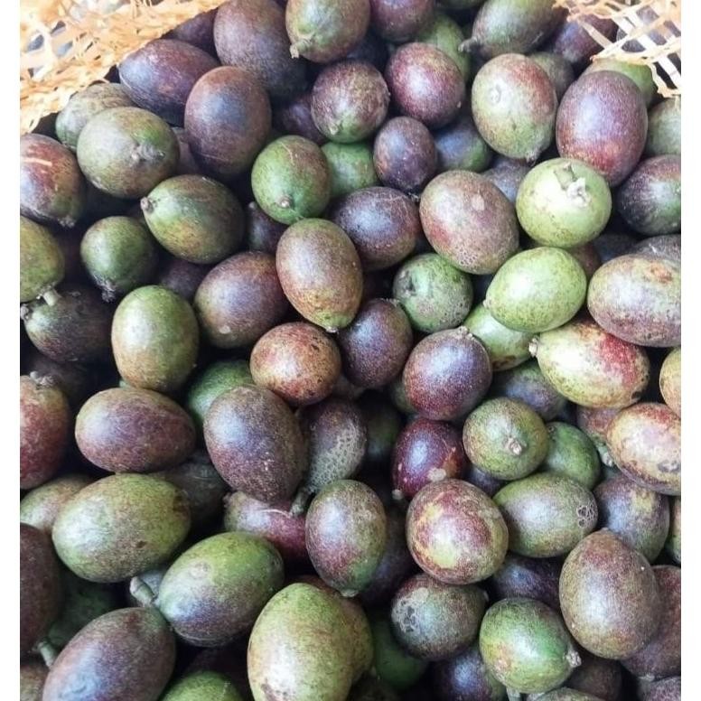 

Cod Buah Matoa Fresh 1Kg Manis Dan Daging Tebal Up15