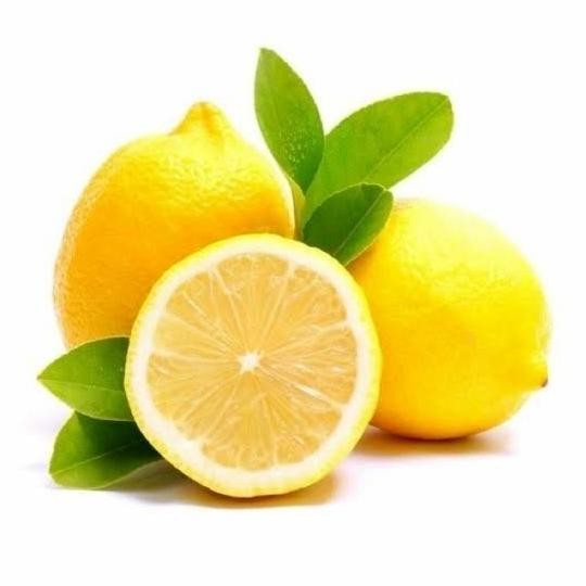 

Bibit Tanaman Buah Jeruk Lemon California Okulasi-Bibit Jeruk FRESS