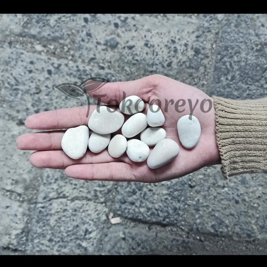 Batu Koral Putih Kecil - Hiasan Taman Batu Makam Via Cargo