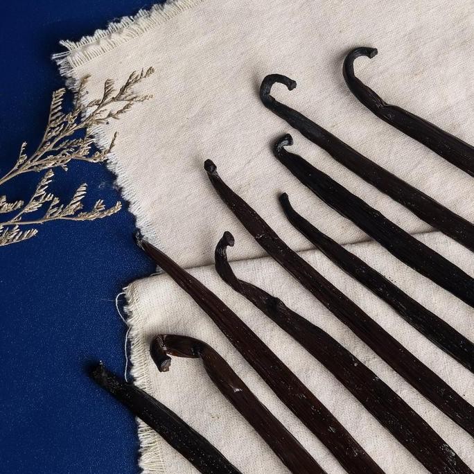 

Vanilla Beans Tahitians Grade B Gourmet (Biji Vanila 100% Organik)