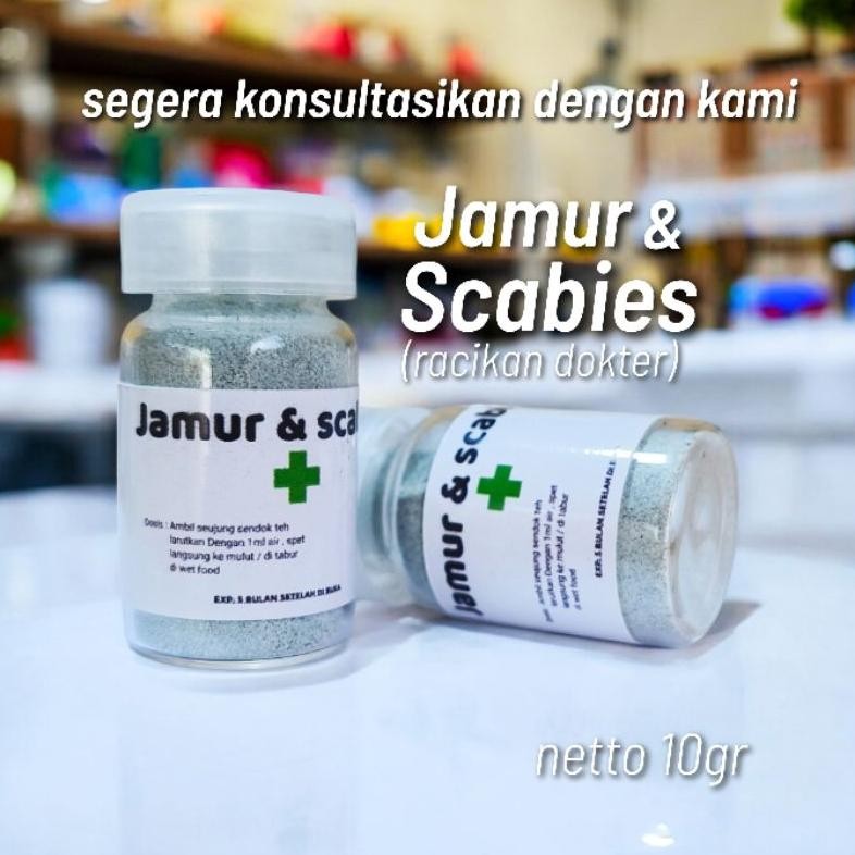 Obat Jamur kucing ampuh obat scabies kucing ampuh obat jamur scabies kucing ampuh obat jamur kucing 