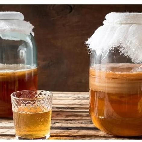 

KOMBUCHA 330ml ORIGINAL 100% HERBAL