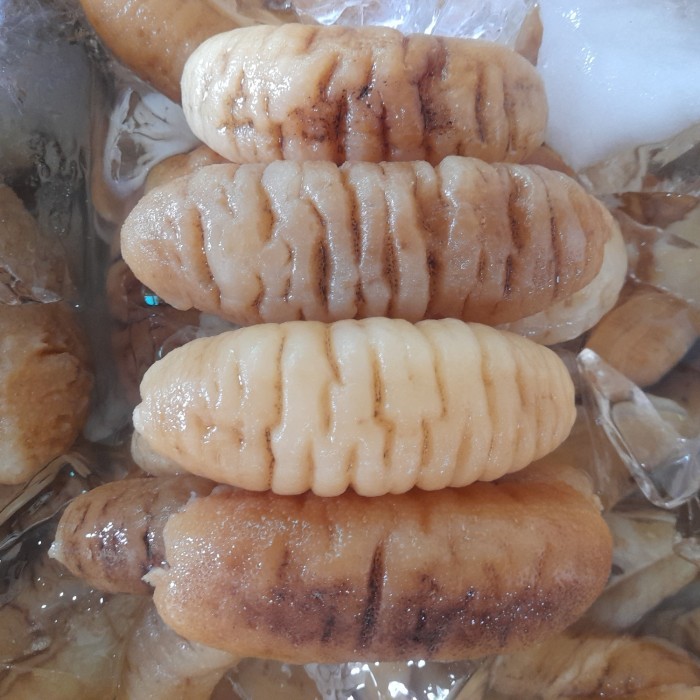 

haisom/teripang laut 1kg
