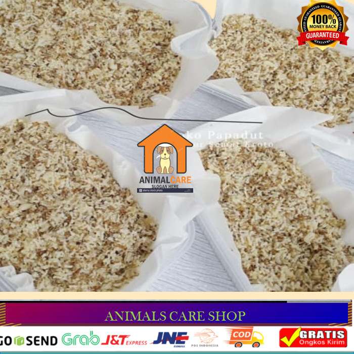 PROMO KROTO SUPER PERA SUPER NON SEMUT, UMPAN PANCING 1 ONS - WADAH PLASTIK