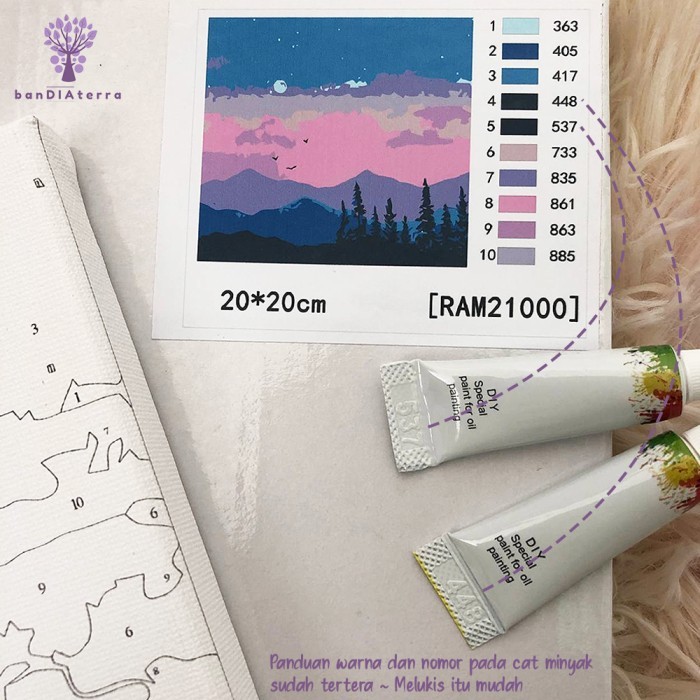 

Bandiaterra DIY Paint by Number KIT 20 X 20 (Painting by Number)