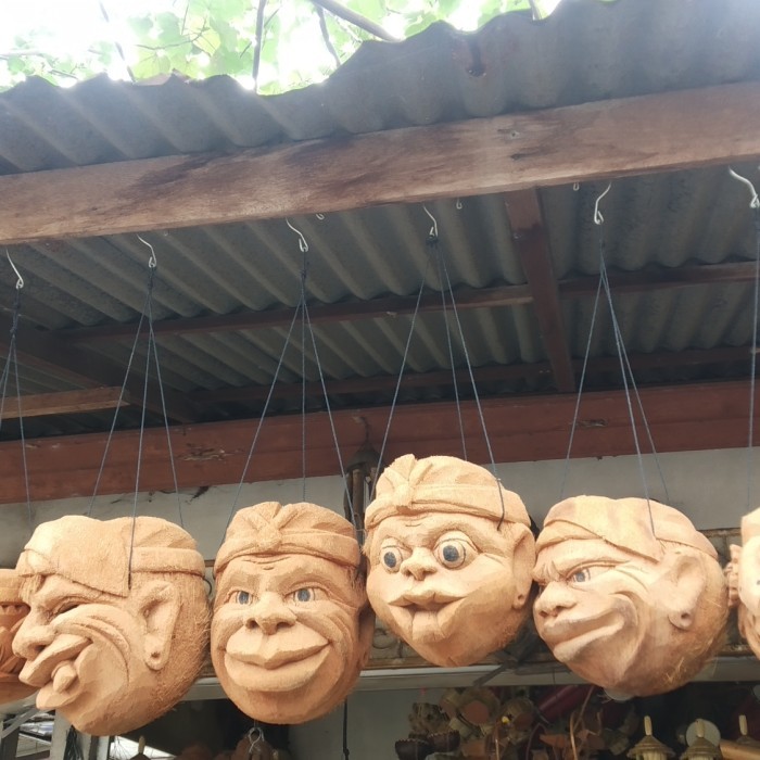 @@@@] Kerajinan Pot bunga Bahan Batok serabut kelapa motif wajah Lucu