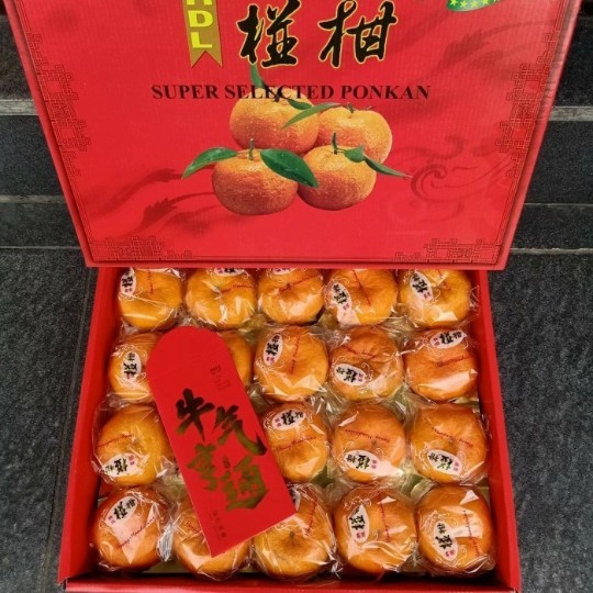 

HAMPERS IMLEK BUAH JERUK PONKAM MANDARIN PREMIUM ISI 20 PCS/1 BOX