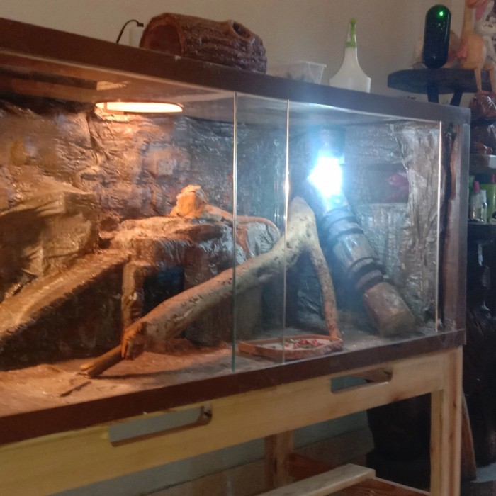 TERBARU Terrarium Reptil / Kandang Reptil, Jati Belanda