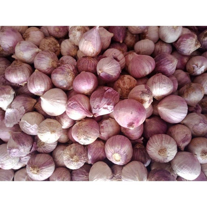 

TERLARIS BAWANG PUTIH TUNGGAL 1KG MURAH!!! MURAH