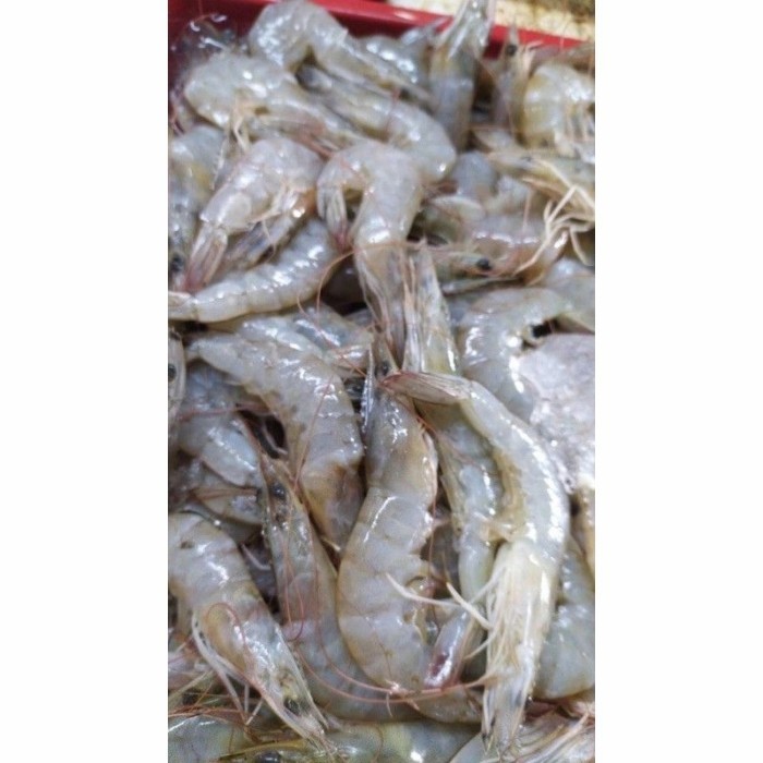 

HOT SALE! udang vaname tanggung 500gr