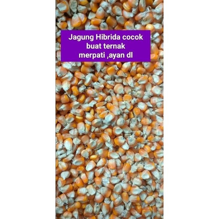 

Jagung Hida Emaan 25 G