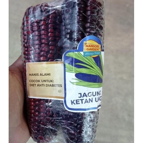 

Jagung Etan Ungu Ii 3 Pa