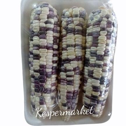 

Jagung Etan Pelangi Pa