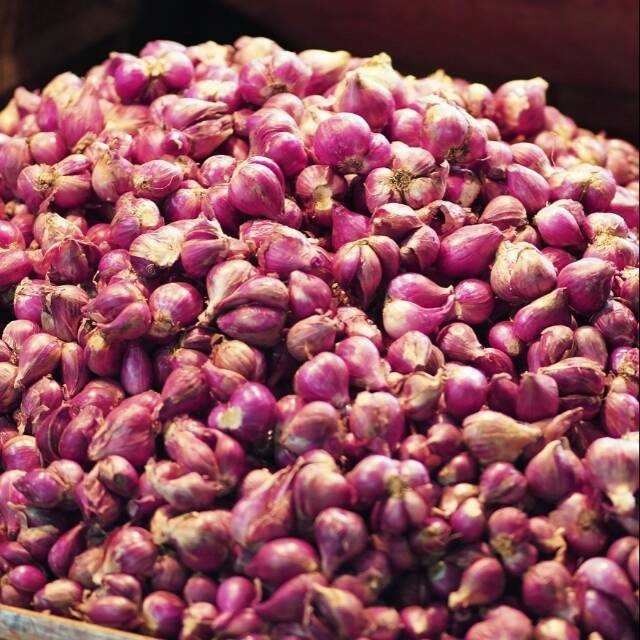 

Harga Termurah Bawang Merah Super 500 Gr Best Seller