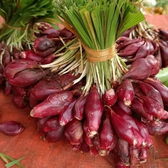 

Terbaru [Termurah] Bawang Dayak Segar 250Gr - 1Kg / Bawang Dayak Segar Best Seller