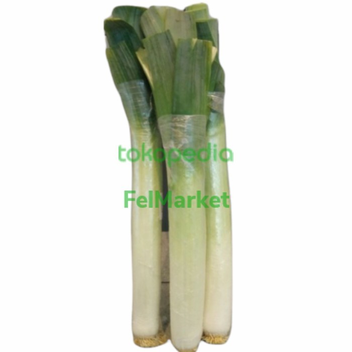 

Promo Leek Import Daun Bawang Import -+300/1Pcs Best Seller