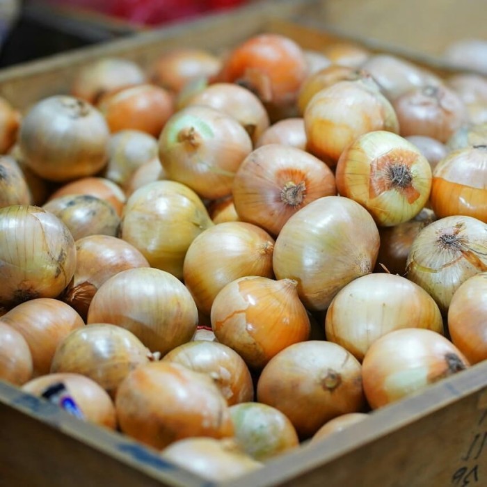 

Terbaru Bawang Bombay 500 Gr Best Seller