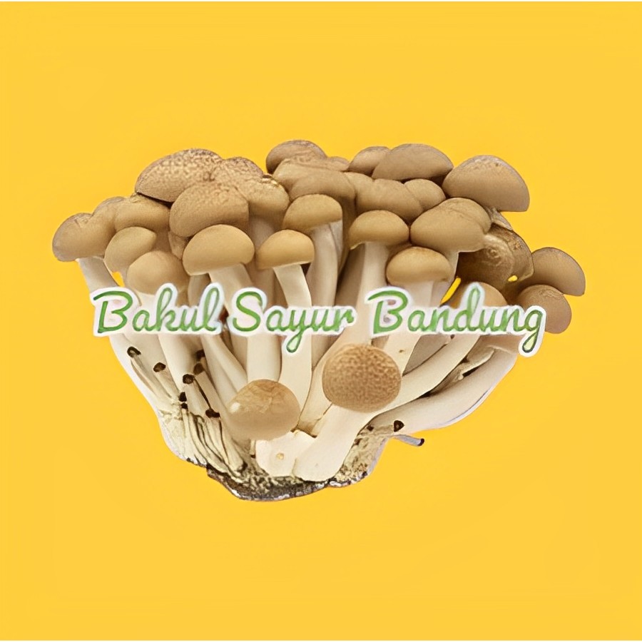 

Halal - Jamur Shimeji - Bakul Sayur bandung