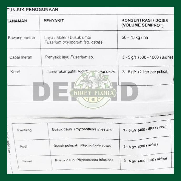 Tricoderma Koningii Saco P Wp 1 Kg Fungisida Organik Trichoderma