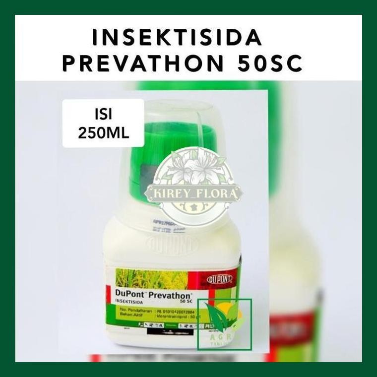 Insektisida Dupont Prevathon 250Ml