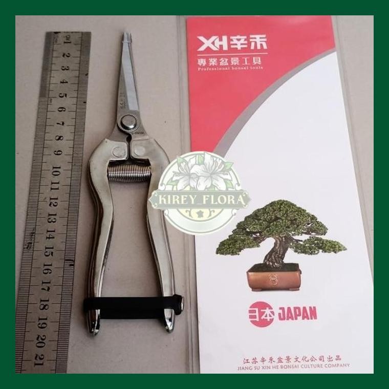 Xh Gunting Prunning Bonsai Full Stainless 20 Cm Gunting Bonsai Stainless Steel