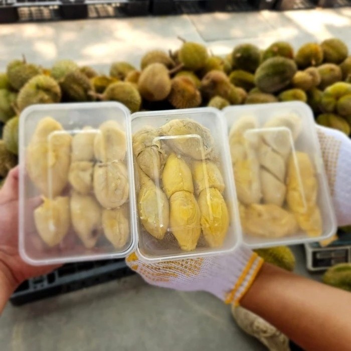 

3 Box durian Kupas Sumatera premium