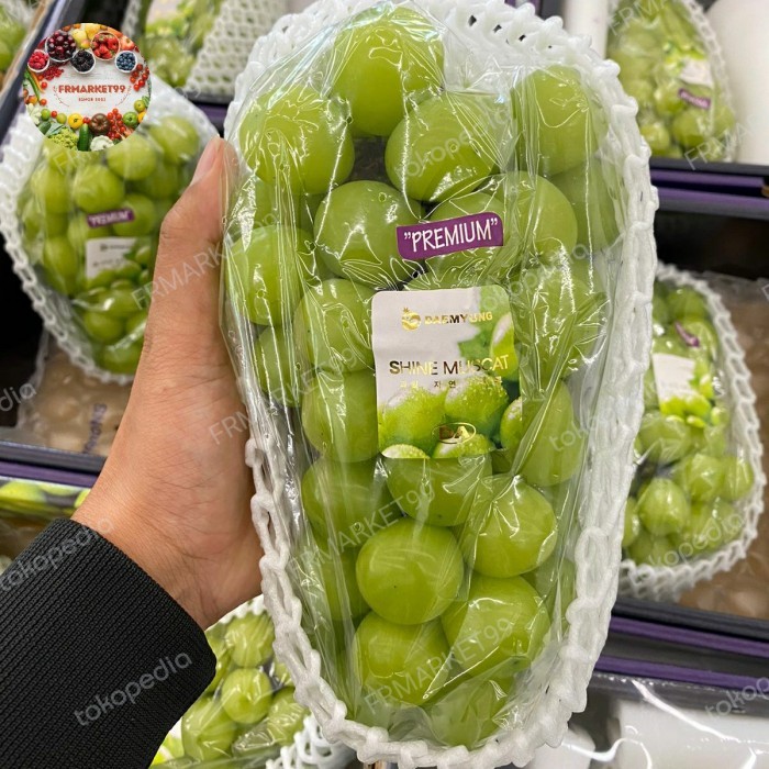 

Anggur Muscat Korea Original Premium Buah Anggur Muscat Korea 1 Kg
