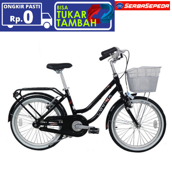 Sepeda Keranjang - Sepeda Polygon Lovina 20