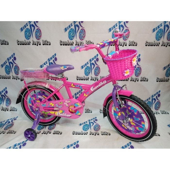 Sepeda Anak Mini 16 Inch Family Flubber