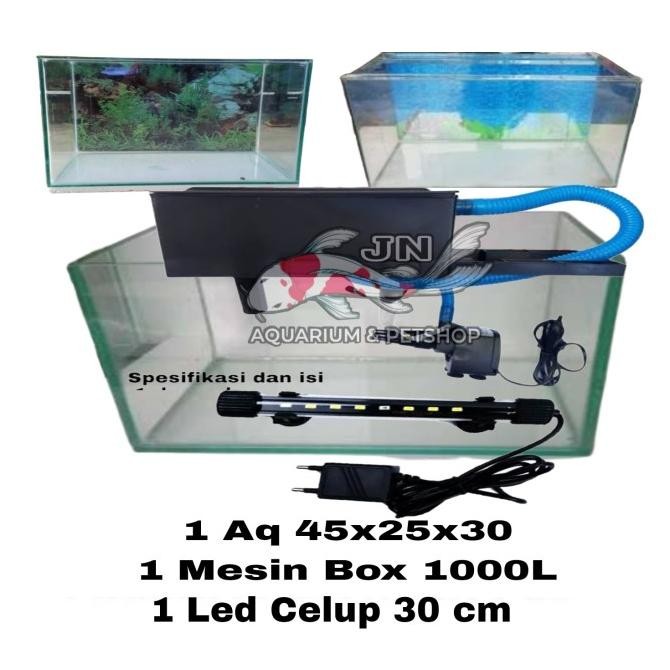 Paket Aquarium 45x25x30 Hiasan Aquarium