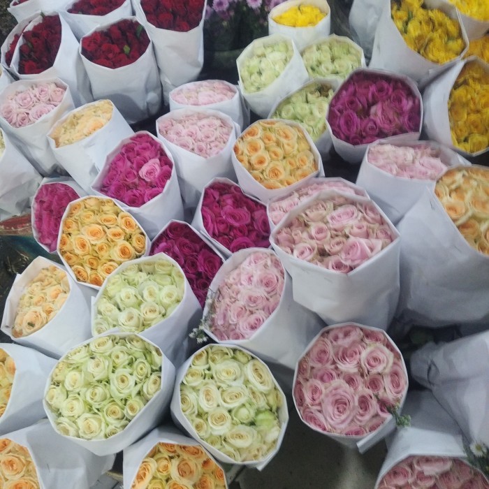 TERLARIS Bunga mawar asli Isi 20Btg