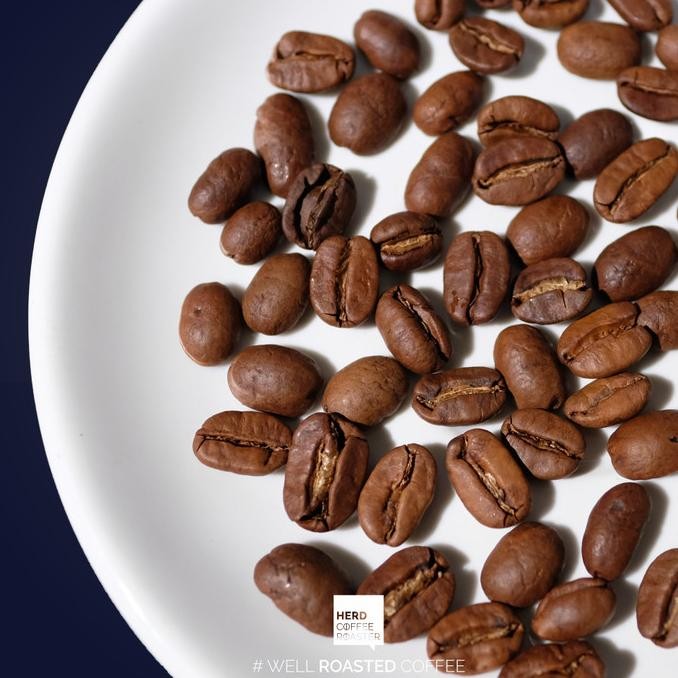 

Gayo Black Wine Single Origin Manual Brew Filter 150Gr Coffee