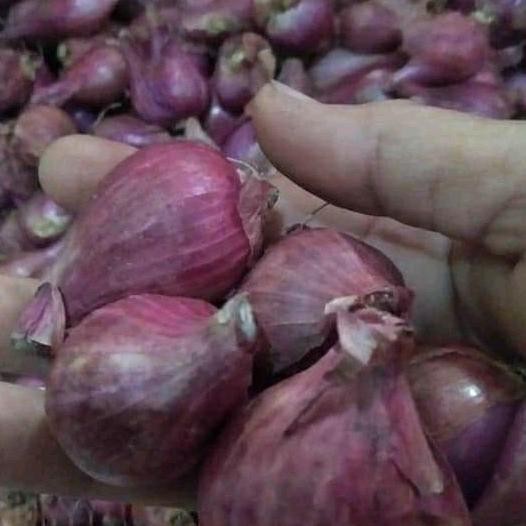 

BAWANG MERAH SUPER 1KG ORIGINAL