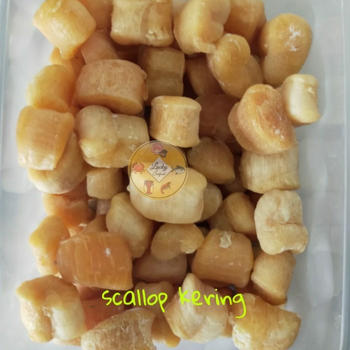 

SCALLOP KERING 100 GRAM