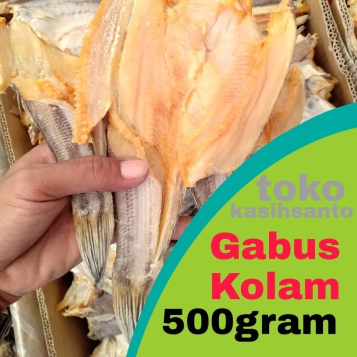 

ikan asin gabus kolam-500gram