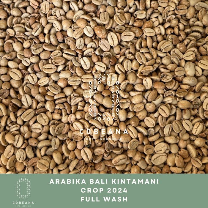 

Biji Kopi Arabika Bali Kintamani 1 Kg Greenbean
