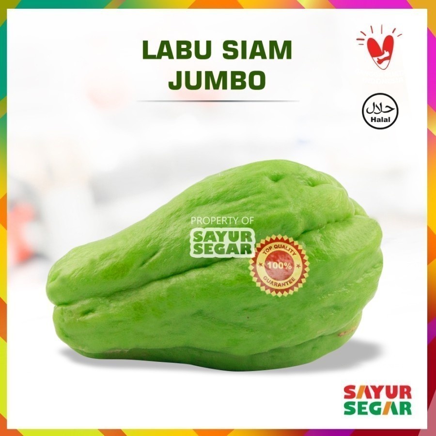 

LABU SIAM JUMBO [1 Pcs] SUPER FRESH