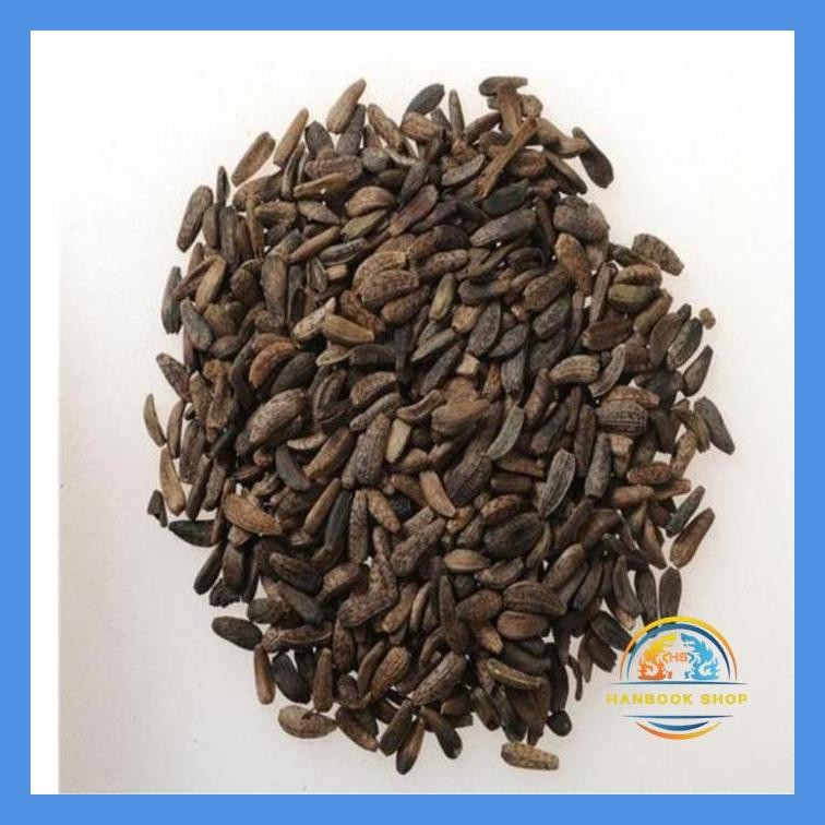 NIU BANG ZI NIU PANG ZI 600 GRAM NIUBANGZI NIUBANG ZI