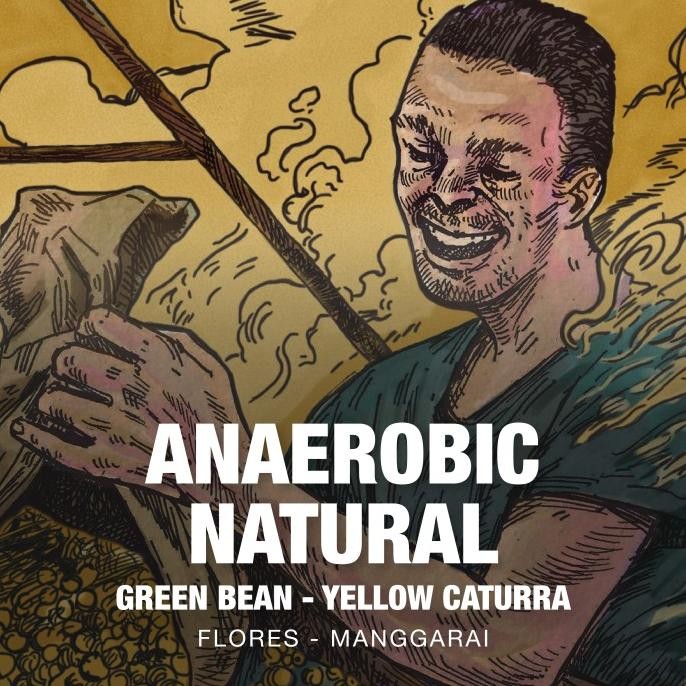 

Green Bean Yellow Caturra Natural Tuang Coffee Flores Manggarai