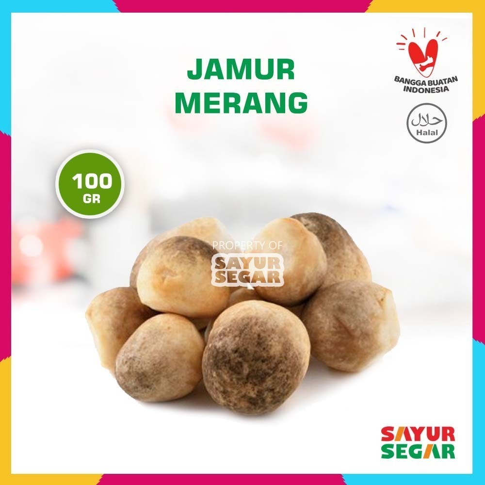 

Kirim Instant - Jamur Merang Fresh 100g Siap Masak