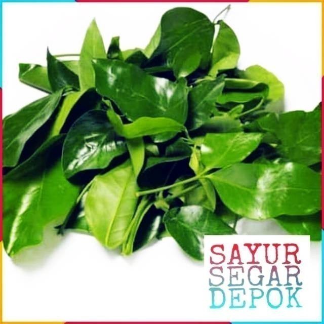 

DAUN MLINJO SAYUR +- 50 GRAM