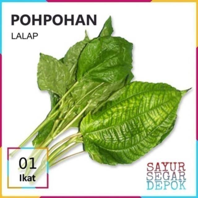 

DAUN POHPOHAN LALAP / SAYUR SEGAR CIPINANG