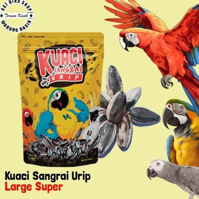 

Uaci Angrai Urip Large Jumbo Aci Parrot Macaa Tua